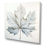 Silver Sycamore Leaf I - Floral Canvas Wall Art