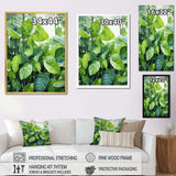 Urban Leaves Forest Greenery - Floral Canvas Wall Art