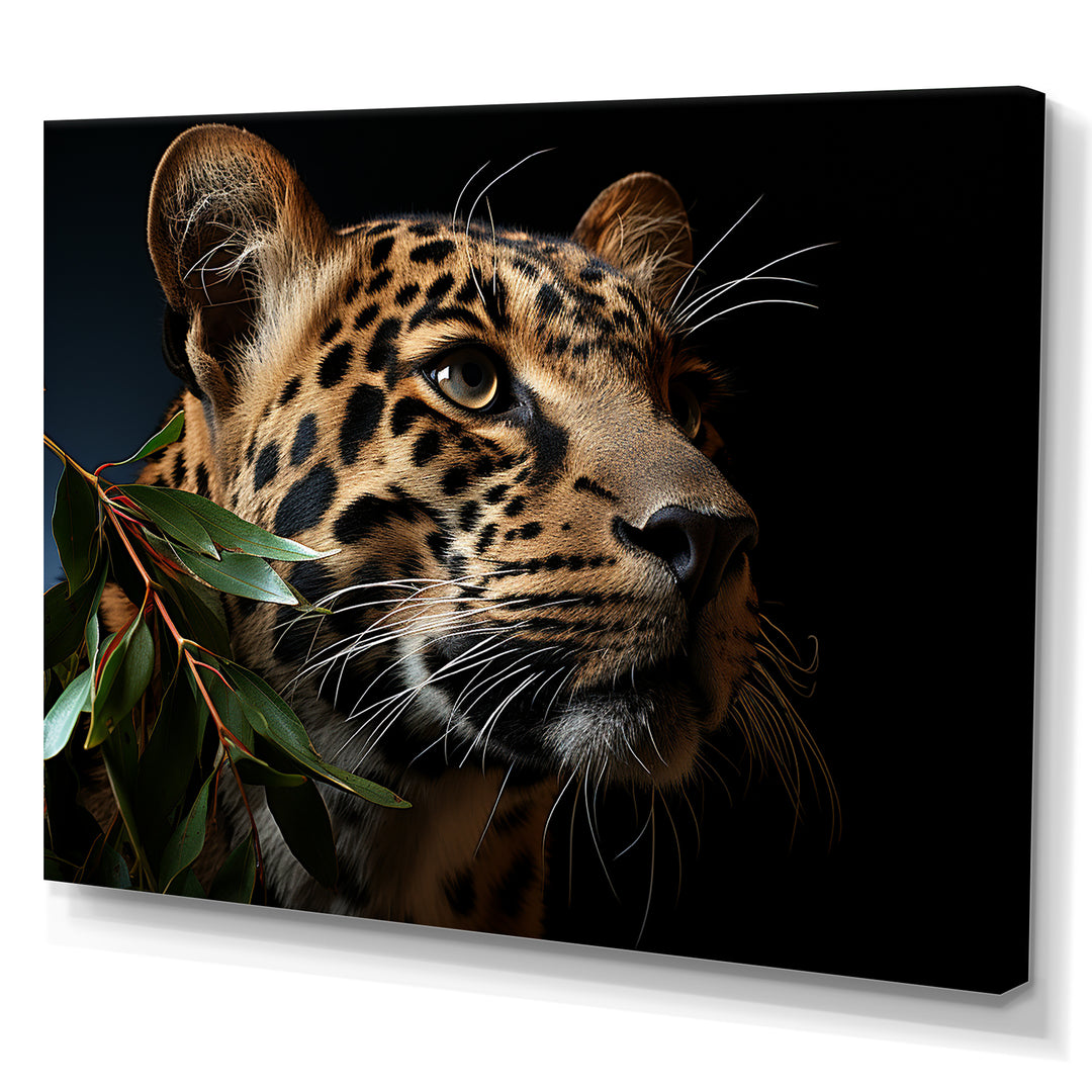 Leopard Glimpse Of Shadows - Black Leopard Wall Art