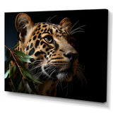 Leopard Glimpse Of Shadows - Black Leopard Wall Art