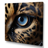 Blue Eyes Of The Jungle - Leopard Canvas Wall Art