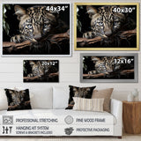 Leopards Graceful Elegance - Leopard Wall Decor