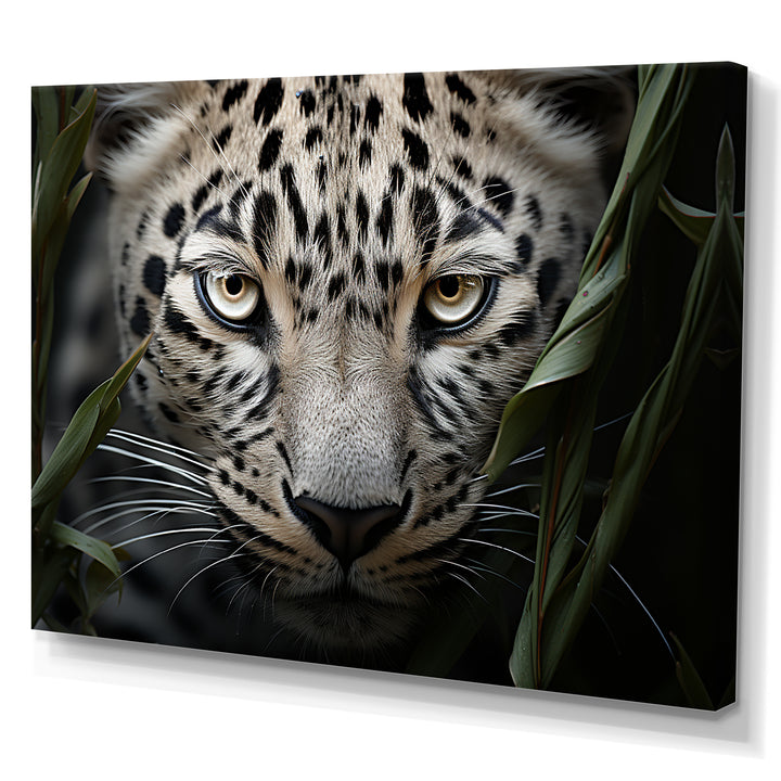 Jungle Leopard Stalk - Leopard Framed Canvas Art