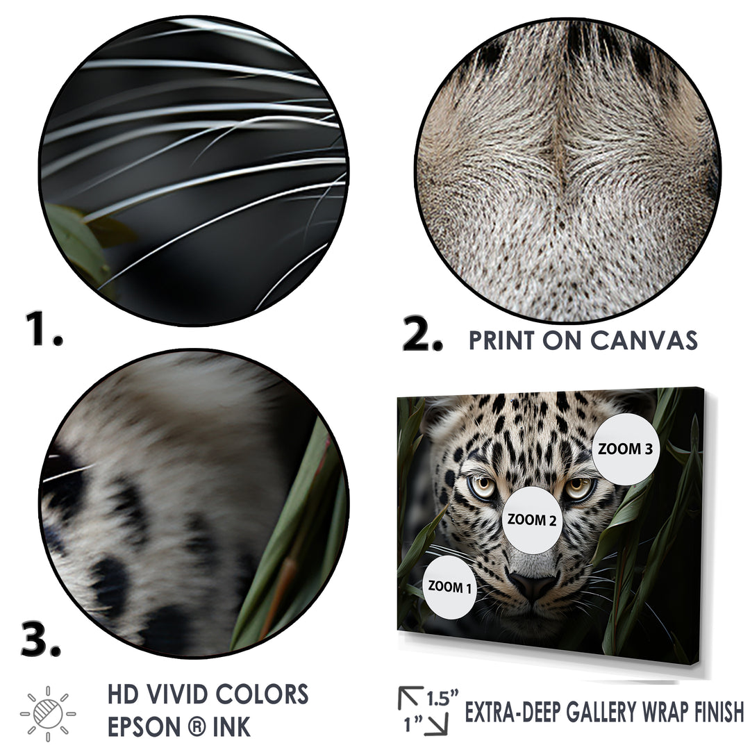 Jungle Leopard Stalk - Leopard Framed Canvas Art