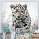 Jungle Leopard Stalk I - Animals Canvas Wall Art