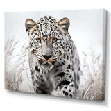 Jungle Leopard Stalk I - Animals Canvas Wall Art