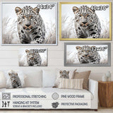 Jungle Leopard Stalk I - Animals Canvas Wall Art