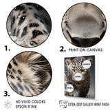 Leopard Mysterious Hunter - Leopard Living Room Wall Art