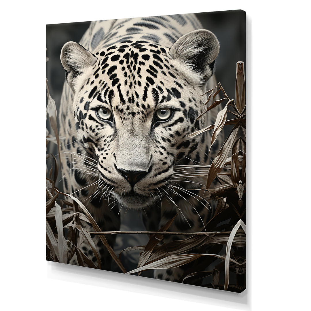 Graceful Leopard Predators In The Wild - Gray Leopard Wall Art