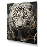 Graceful Leopard Predators In The Wild - Gray Leopard Wall Art