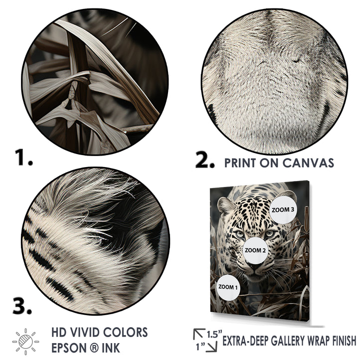 Graceful Leopard Predators In The Wild - Gray Leopard Wall Art