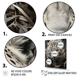 Graceful Leopard Predators In The Wild - Gray Leopard Wall Art
