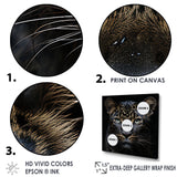 Stealthy Nocturne Leopard - Leopard Large Canvas Wall Art