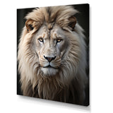 Lions Monochrome Photography - Lion Canvas Wall Art