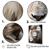Lions Monochrome Photography - Lion Canvas Wall Art