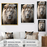 Lions Monochrome Photography - Lion Canvas Wall Art