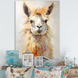 Furry Llama Portrait - Llama Wall Art Prints