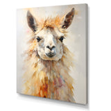 Furry Llama Portrait - Llama Wall Art Prints