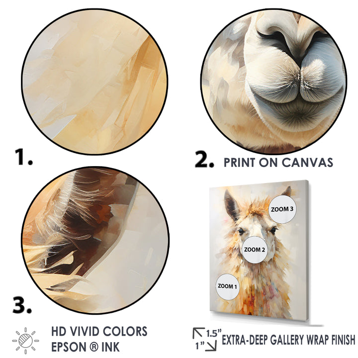 Furry Llama Portrait - Llama Wall Art Prints
