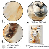 Furry Llama Portrait - Llama Wall Art Prints