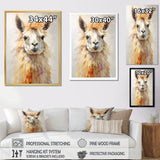 Furry Llama Portrait - Llama Wall Art Prints