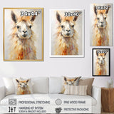 Furry Llama Portrait - Llama Wall Art Prints