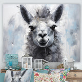 Grey Llama Portrait - Gray Llama Wall Art