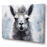 Grey Llama Portrait - Gray Llama Wall Art