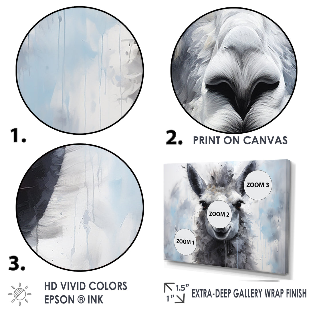 Grey Llama Portrait - Gray Llama Wall Art