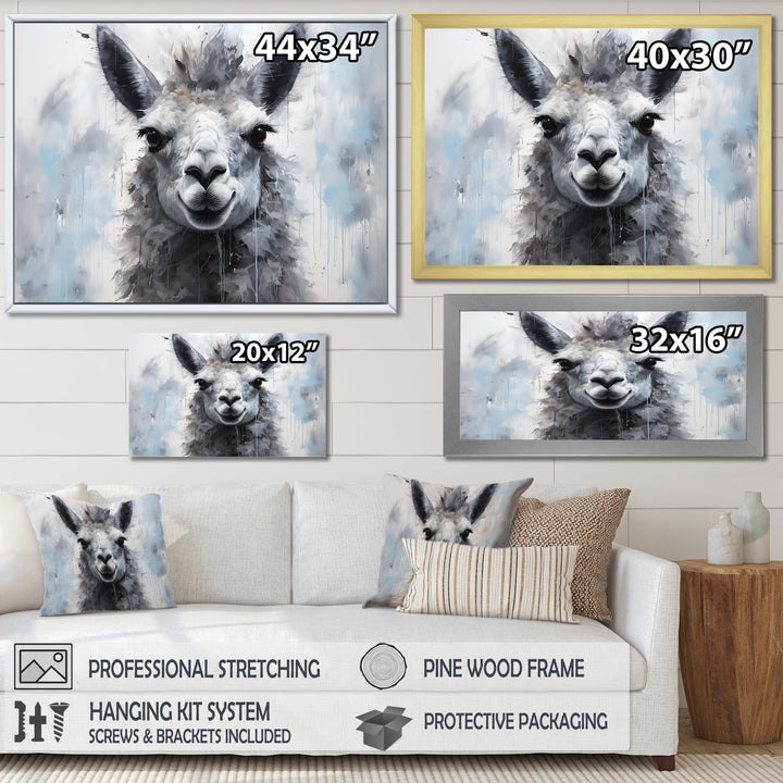 Grey Llama Portrait - Gray Llama Wall Art