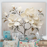 Beige And Green Magnolias Flower Blossum - Floral Canvas Wall Art