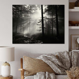 Black And White Forest Silence Photography I - Landscapes Canvas Wall Art