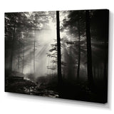 Black And White Forest Silence Photography I - Landscapes Canvas Wall Art