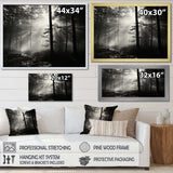 Black And White Forest Silence Photography I - Landscapes Canvas Wall Art