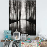 Black And White Forest Silence Photography III - Landscapes Canvas Wall Art