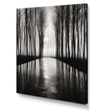 Black And White Forest Silence Photography III - Landscapes Canvas Wall Art