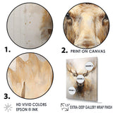 Beige And Gold Moose Portrait - Animals Canvas Wall Art