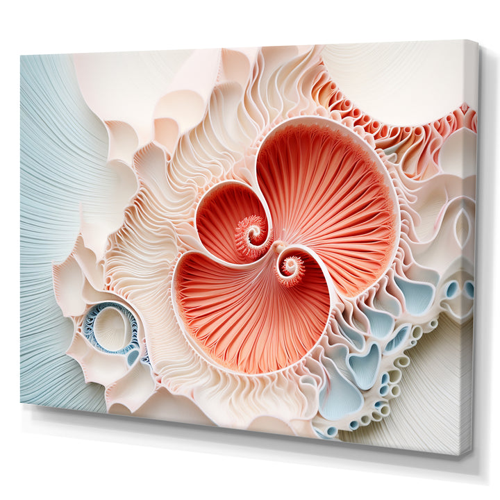 Coral Chamber Nautilus Spiral - Nautilus Wall Art Prints