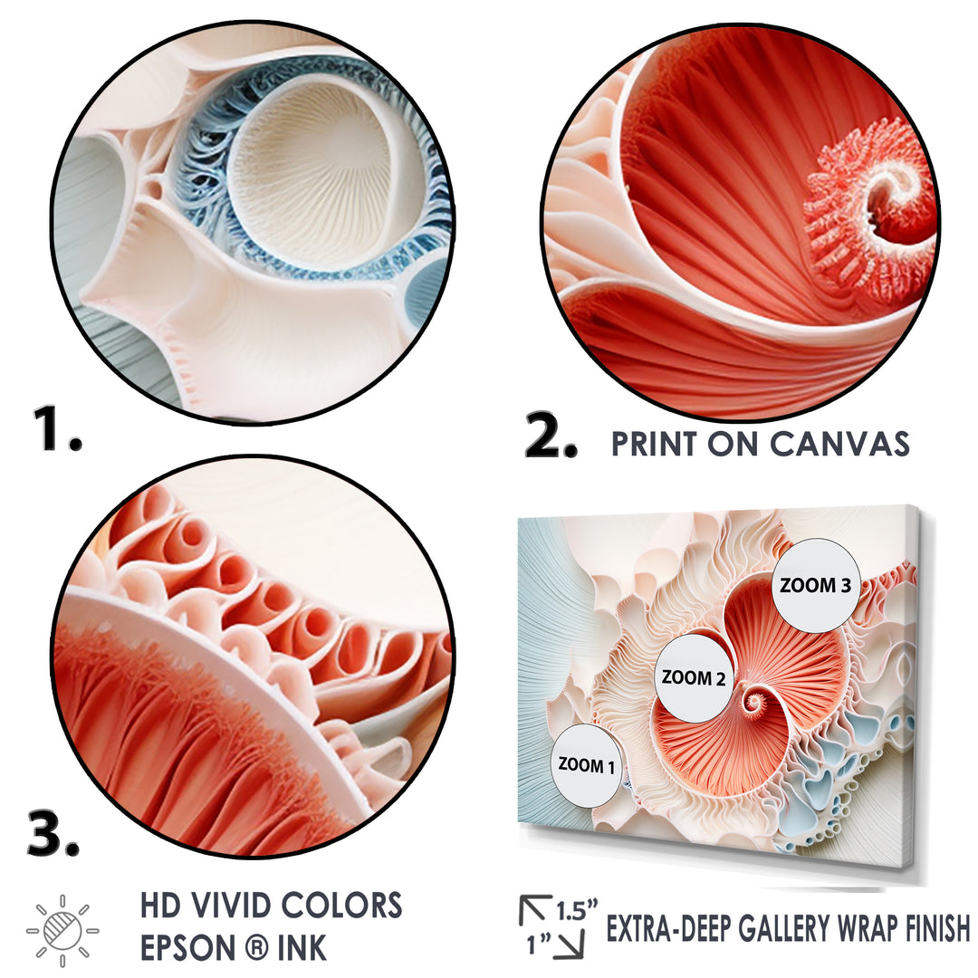 Coral Chamber Nautilus Spiral - Nautilus Wall Art Prints