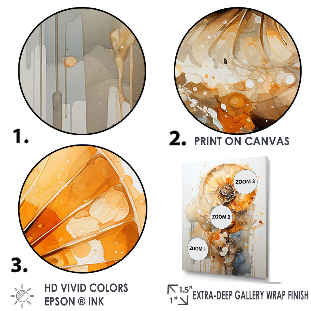 Golden Nautilus Spiral - Nautilus Wall Art Prints