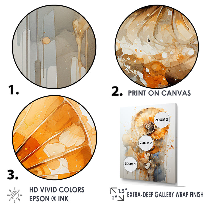 Golden Nautilus Spiral - Nautilus Wall Art Prints