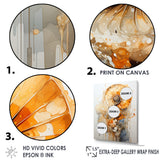 Golden Nautilus Spiral - Nautilus Wall Art Prints