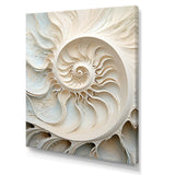 Ivory Infinity Sea Sheel Spiral - Nautilus Framed Canvas Art