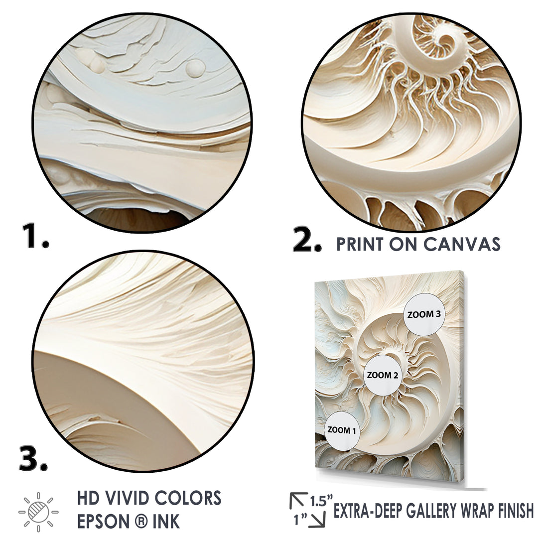 Ivory Infinity Sea Sheel Spiral - Nautilus Framed Canvas Art