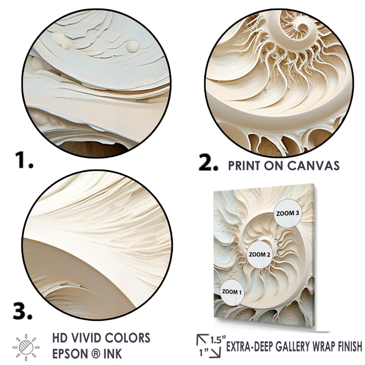 Ivory Infinity Sea Sheel Spiral - Nautilus Framed Canvas Art