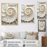 Ivory Infinity Sea Sheel Spiral - Nautilus Framed Canvas Art