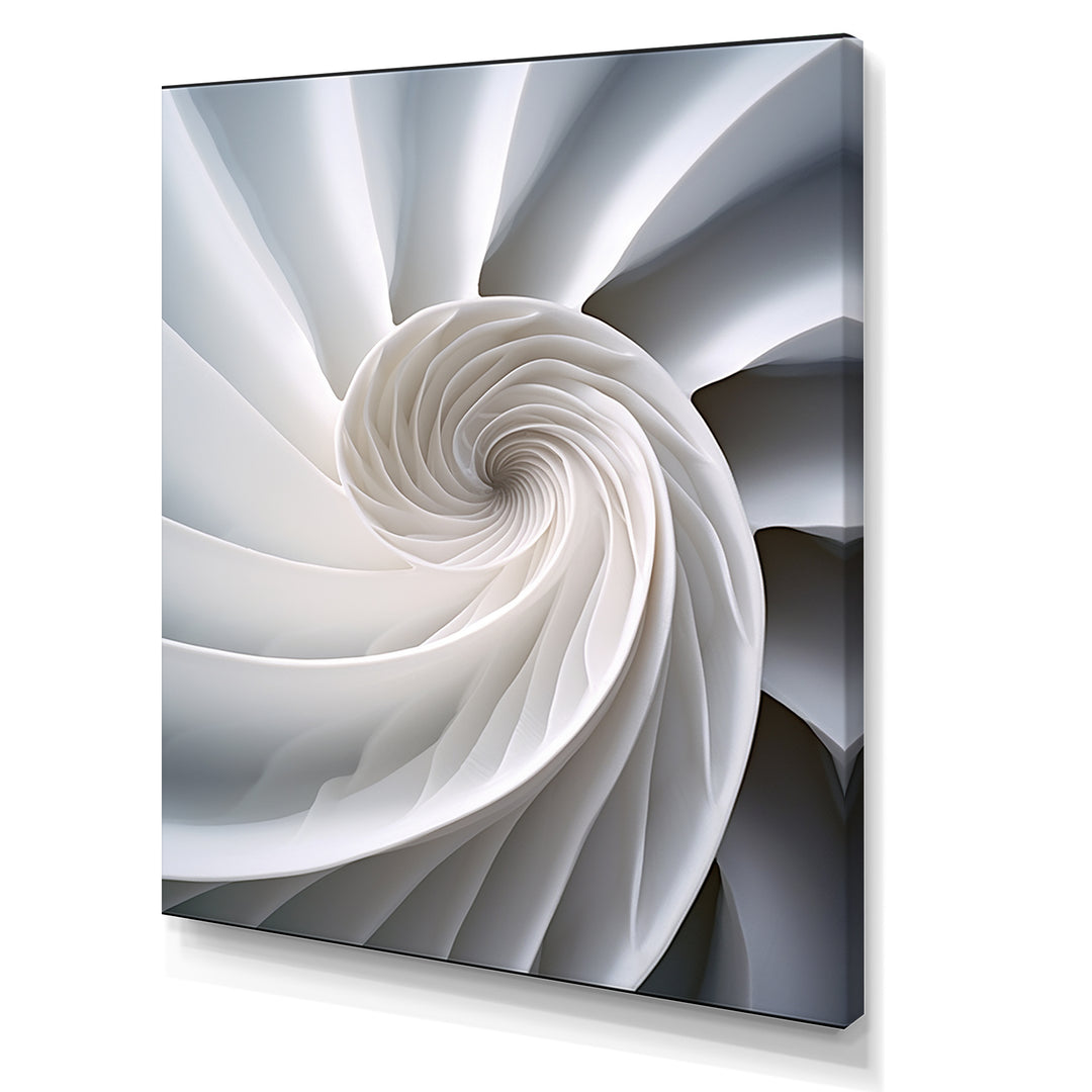 Ivory Sea Sheel Infinity Spiral - Nautilus Large Canvas Wall Art