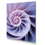 Lavender Sea Sheel Infinity Spiral - Nautilus Home Decor Art
