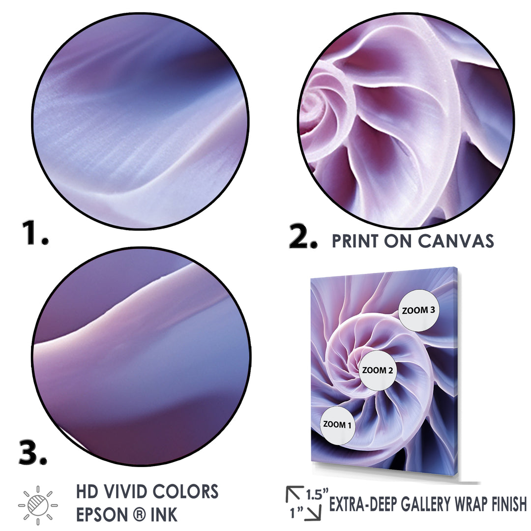 Lavender Sea Sheel Infinity Spiral - Nautilus Home Decor Art