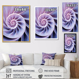 Lavender Sea Sheel Infinity Spiral - Nautilus Home Decor Art
